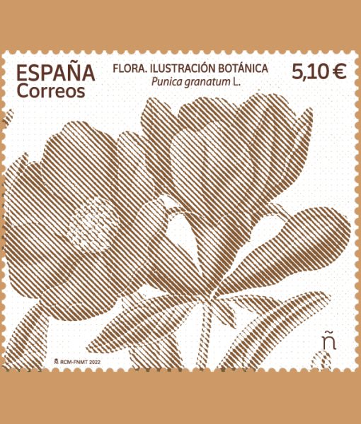 1006 plantas 6229