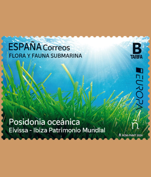 6433 0905 POSIDONIA EUROPA MM